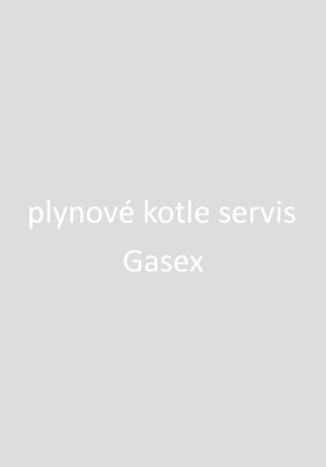 Gasex servis