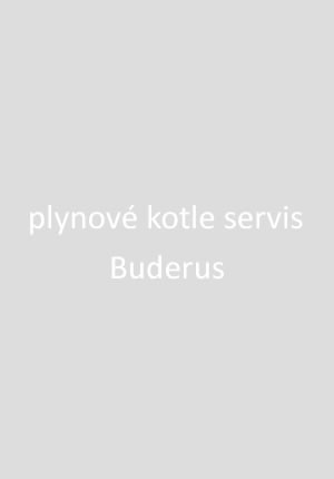 Buderus servis