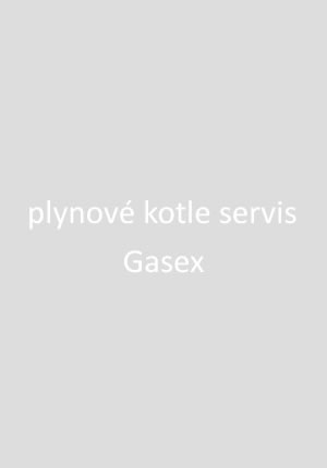 Gasex servis