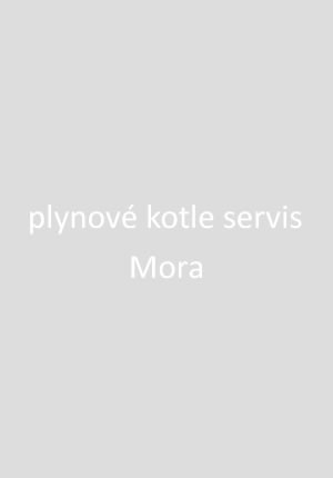 Mora servis